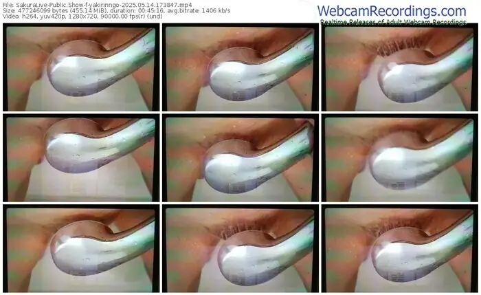 2025/05/14/sakuralivejp-yakirinngo-17-38-47