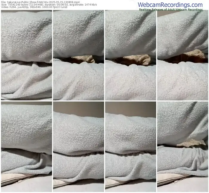 2025/05/15/sakuralivejp-nachiv-13-08-08