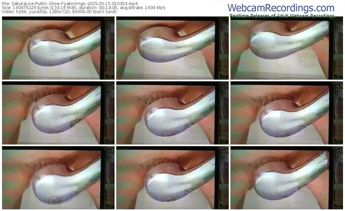 2025/05/15/sakuralivejp-yakirinngo-01-03-53