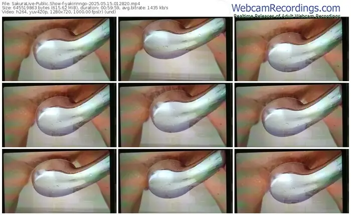 2025/05/15/sakuralivejp-yakirinngo-01-28-20