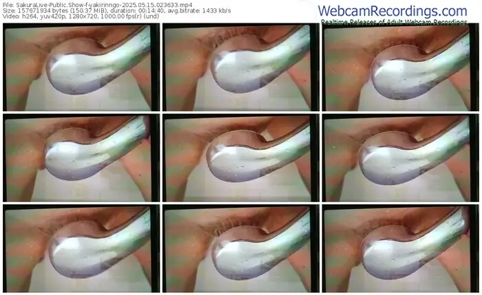 2025/05/15/sakuralivejp-yakirinngo-02-36-33