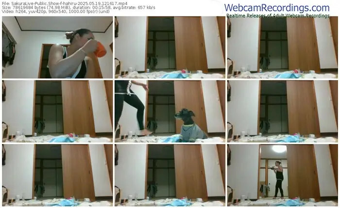 2025/05/19/sakuralivejp-hahiru-12-16-17
