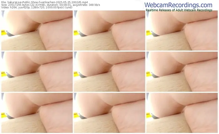 2025/05/25/sakuralivejp-xerikachan-20-02-45