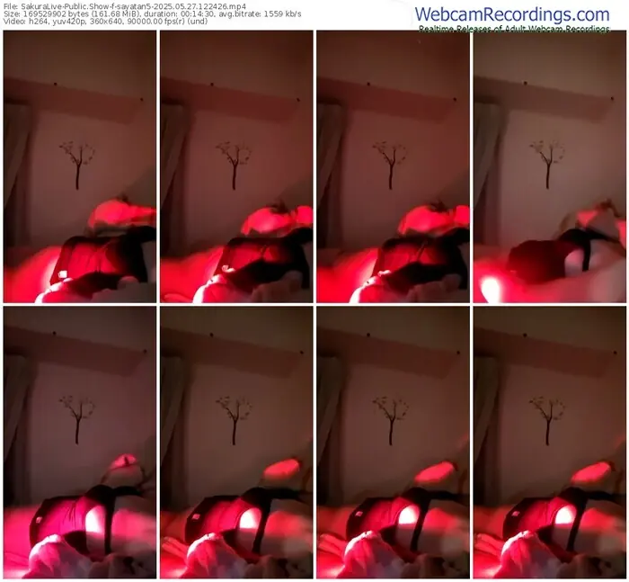 2025/05/27/sakuralivejp-sayatan5-12-24-26