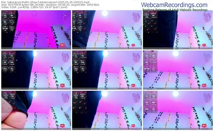 2025/05/29/sakuralivejp-artemisaleon-10-05-23