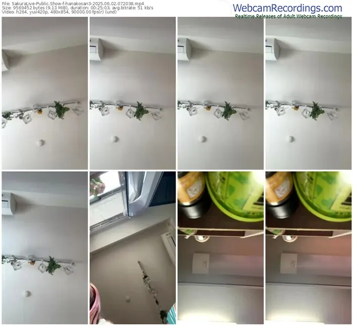 2025/06/02/sakuralivejp-hanakosan3-07-20-38