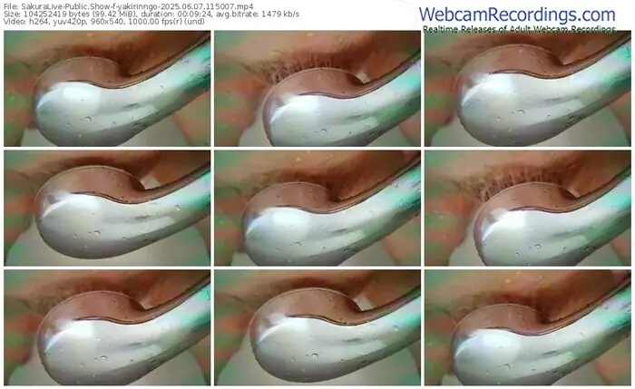 2025/06/07/sakuralivejp-yakirinngo-11-50-07