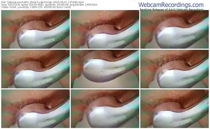 2025/06/07/sakuralivejp-yakirinngo-12-52-40