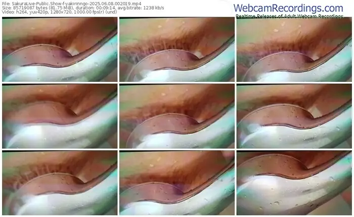 2025/06/08/sakuralivejp-yakirinngo-00-20-19