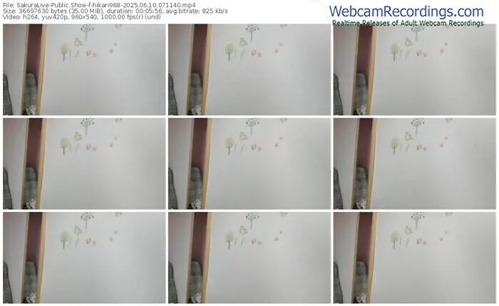 2025/06/10/sakuralivejp-hikari968-07-11-40