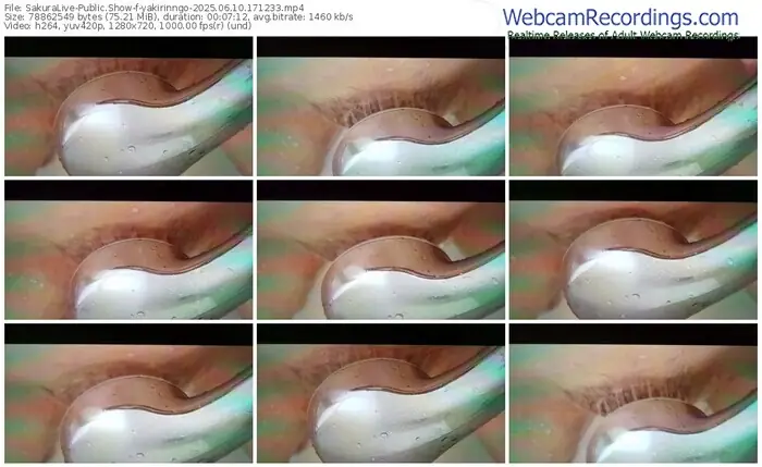 2025/06/10/sakuralivejp-yakirinngo-17-12-33