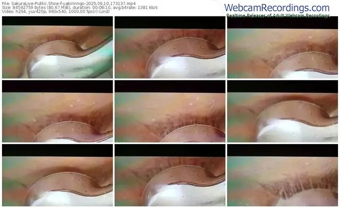 2025/06/10/sakuralivejp-yakirinngo-17-31-37