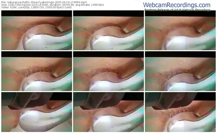 2025/06/10/sakuralivejp-yakirinngo-17-49-56