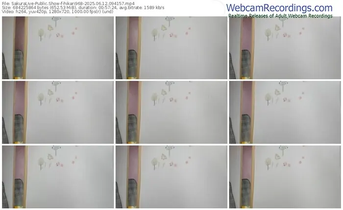 2025/06/12/sakuralivejp-hikari968-09-41-57