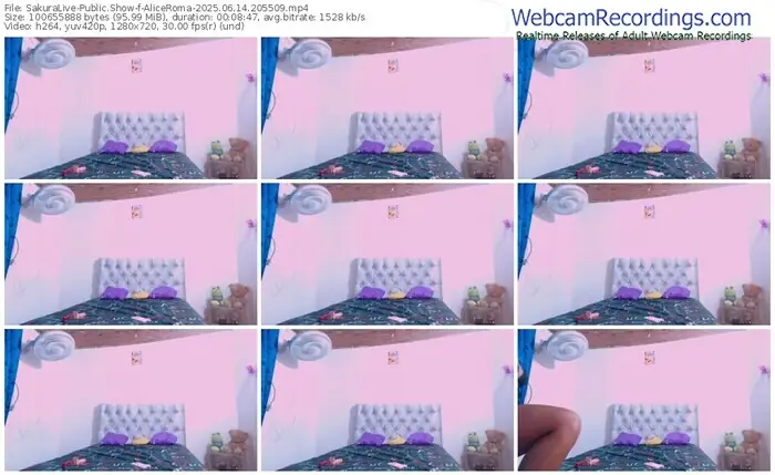 2025/06/14/sakuralivejp-aliceroma-20-55-09