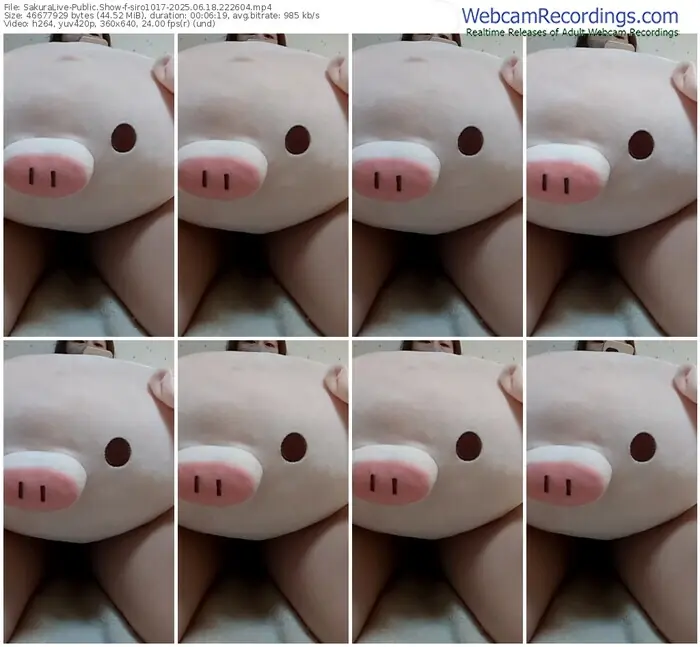 2025/06/18/sakuralivejp-siro1017-22-26-04