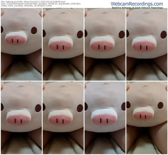 2025/06/18/sakuralivejp-siro1017-22-46-46