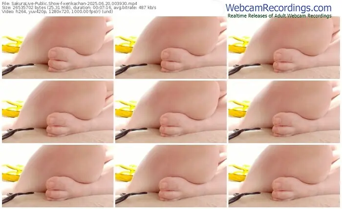 2025/06/20/sakuralivejp-xerikachan-00-39-30