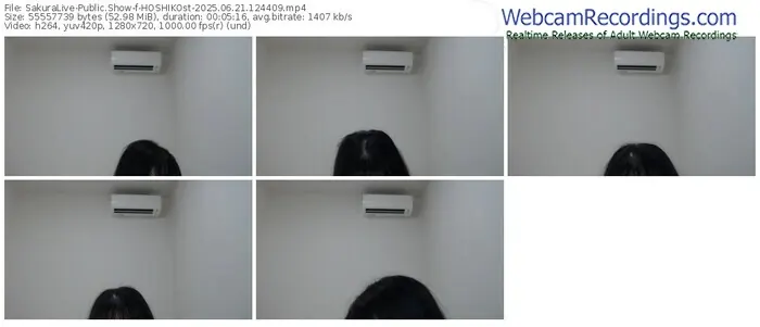 2025/06/21/sakuralivejp-hoshikost-12-44-09