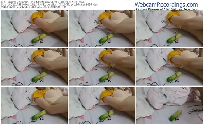 2025/06/24/sakuralivejp-axmegumixa-01-57-38