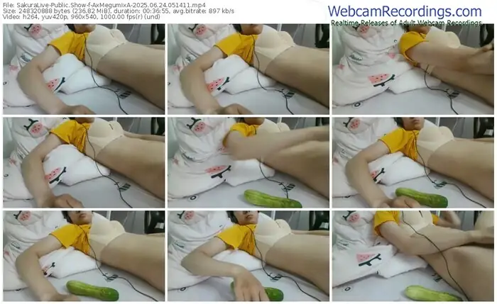 2025/06/24/sakuralivejp-axmegumixa-05-14-11