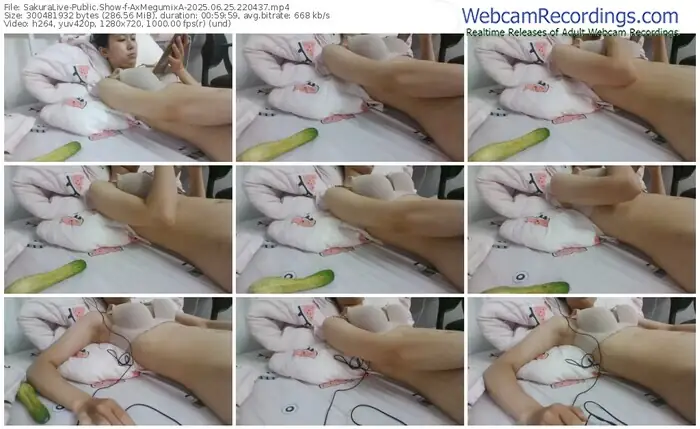 2025/06/25/sakuralivejp-axmegumixa-22-04-37
