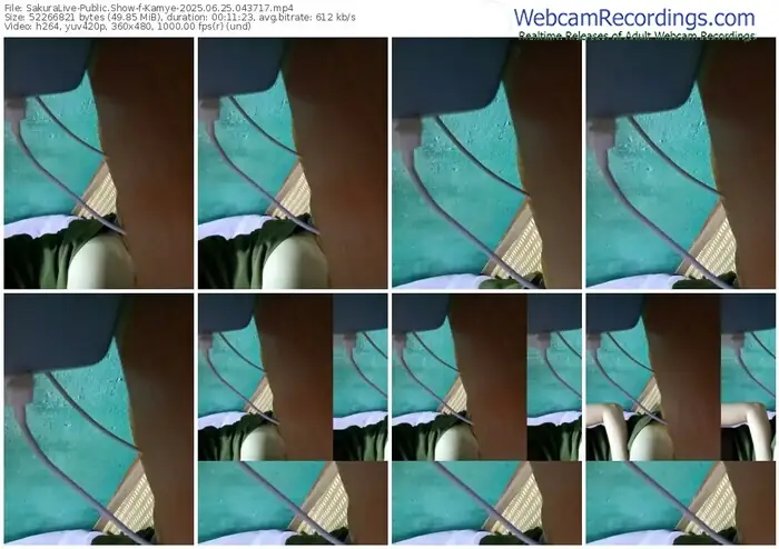 2025/06/25/sakuralivejp-kamye-04-37-17