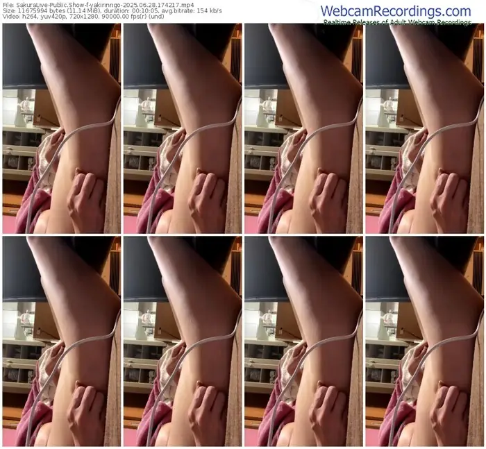 2025/06/28/sakuralivejp-yakirinngo-17-42-17