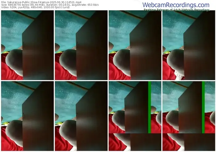 2025/06/30/sakuralivejp-kamye-11-45-21