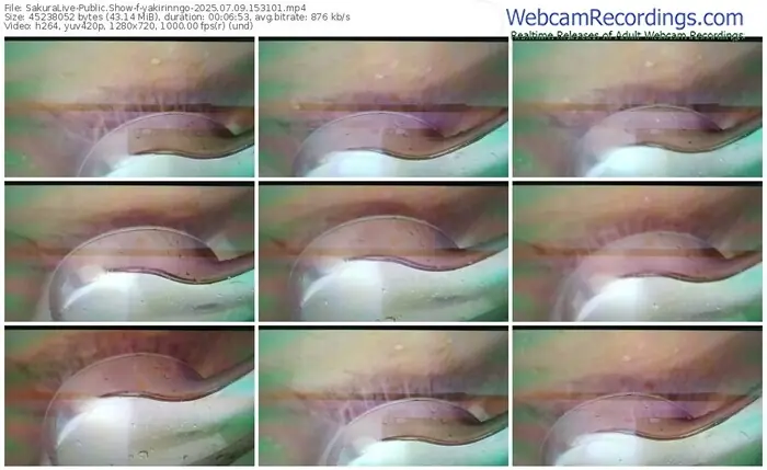 2025/07/09/sakuralivejp-yakirinngo-15-31-01