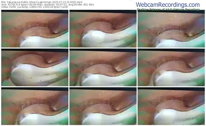 2025/07/10/sakuralivejp-yakirinngo-21-36-35