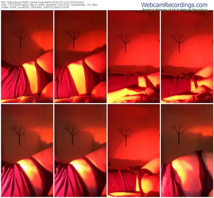 2025/07/12/sakuralivejp-sayatan5-11-22-04