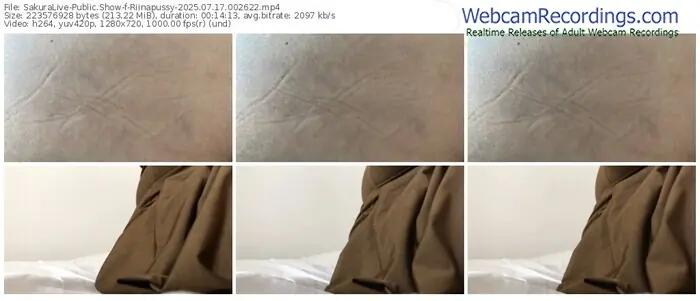 2025/07/17/sakuralivejp-riinapussy-00-26-22