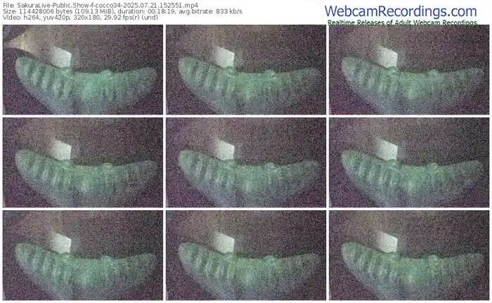 2025/07/21/sakuralivejp-cocco34-15-25-51