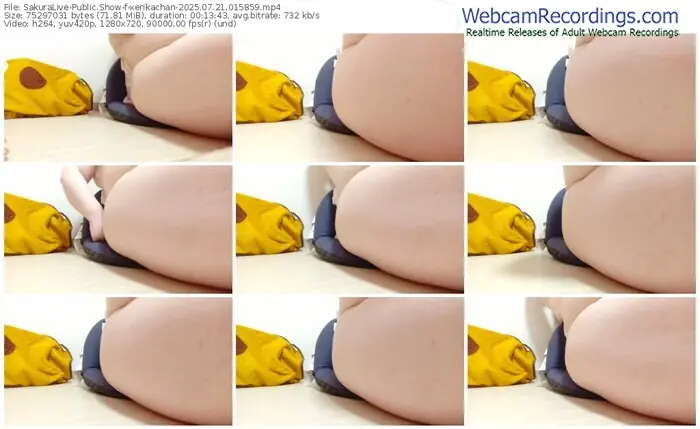 2025/07/21/sakuralivejp-xerikachan-01-58-59