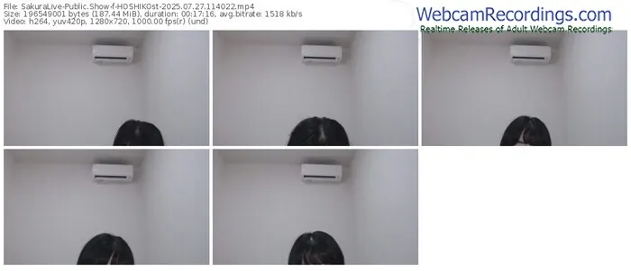 2025/07/27/sakuralivejp-hoshikost-11-40-22