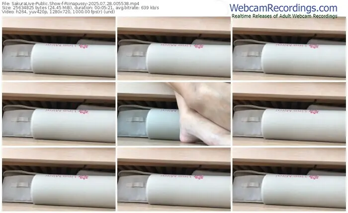 2025/07/28/sakuralivejp-riinapussy-00-55-38