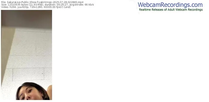 2025/07/28/sakuralivejp-yakirinngo-02-28-40