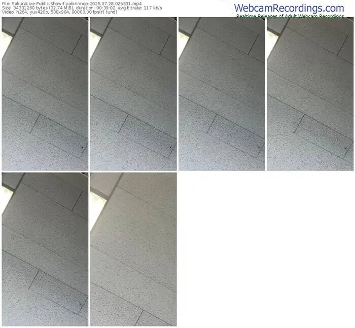 2025/07/28/sakuralivejp-yakirinngo-02-53-31