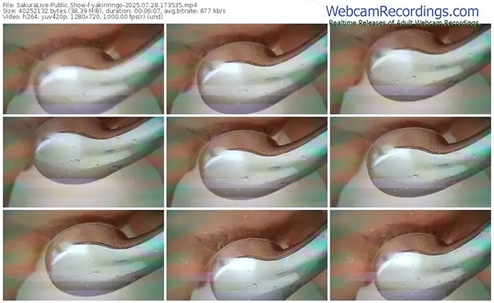 2025/07/28/sakuralivejp-yakirinngo-17-35-35