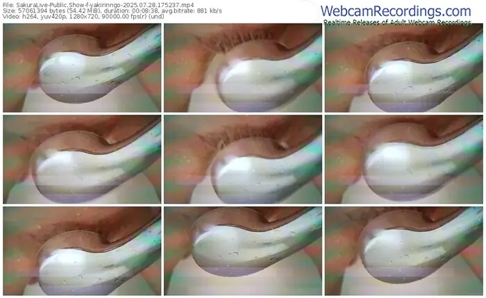 2025/07/28/sakuralivejp-yakirinngo-17-52-37