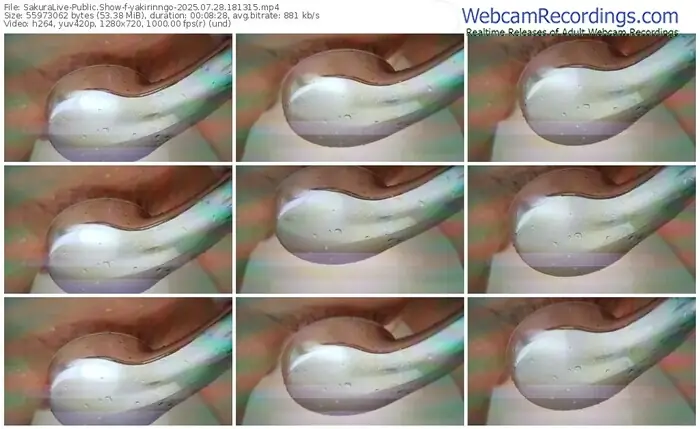 2025/07/28/sakuralivejp-yakirinngo-18-13-15