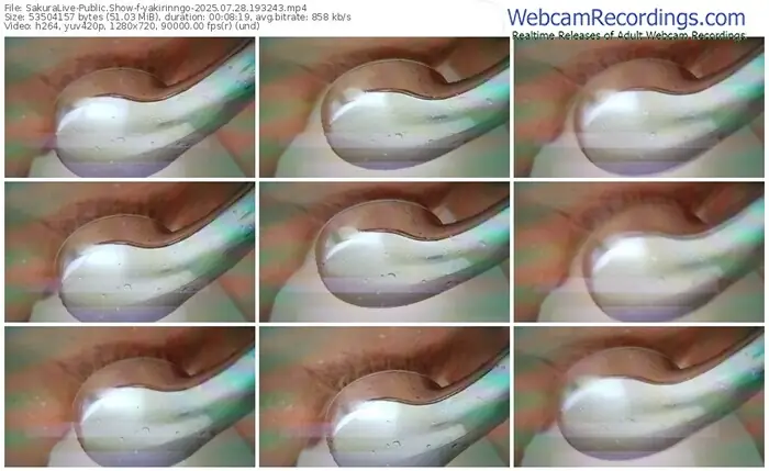 2025/07/28/sakuralivejp-yakirinngo-19-32-43