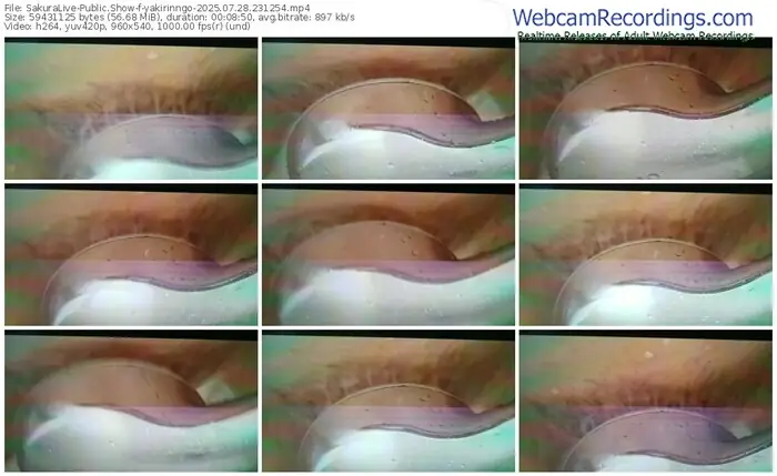 2025/07/28/sakuralivejp-yakirinngo-23-12-54