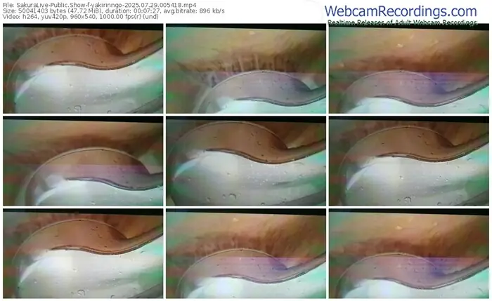 2025/07/29/sakuralivejp-yakirinngo-00-54-18