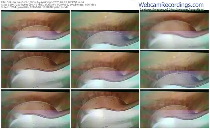 2025/07/29/sakuralivejp-yakirinngo-01-33-51