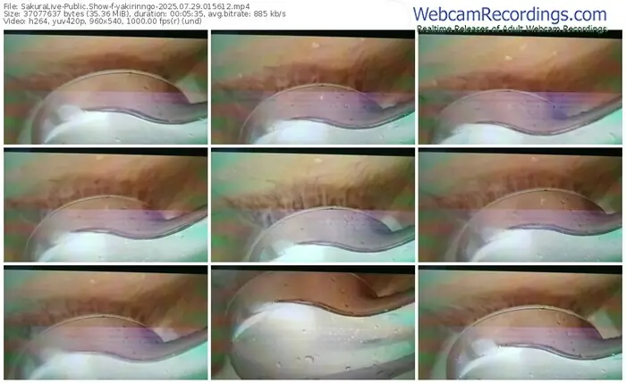 2025/07/29/sakuralivejp-yakirinngo-01-56-12