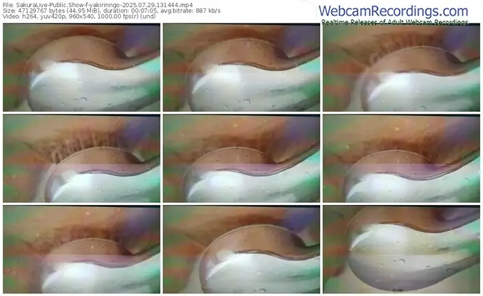 2025/07/29/sakuralivejp-yakirinngo-13-14-44