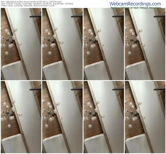 2025/08/11/sakuralivejp-eroka-19-52-39