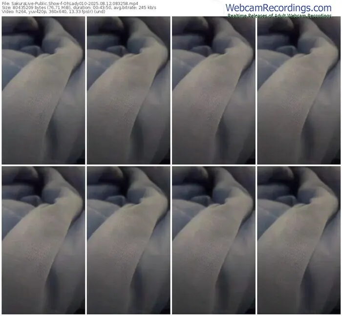 2025/08/12/sakuralivejp-ohlady010-08-32-58